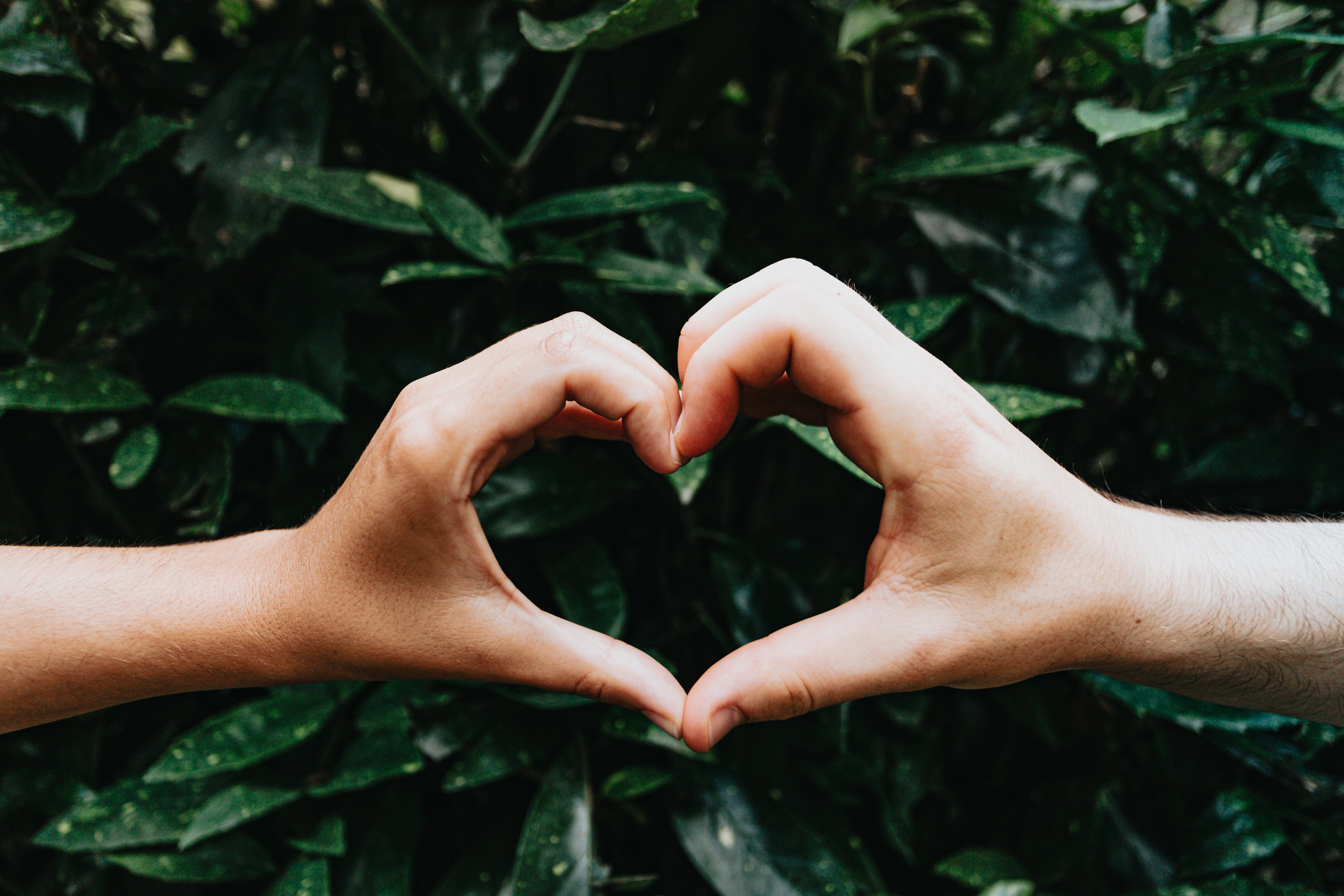 hands-form-a-heart-shape-against-green-leaves - Smoochie